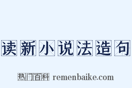 读新小说法造句是什么意思的图片
